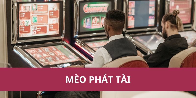 Mèo Phát Tài – May Mắn Nhân Đôi, Rinh Thưởng Dễ Dàng